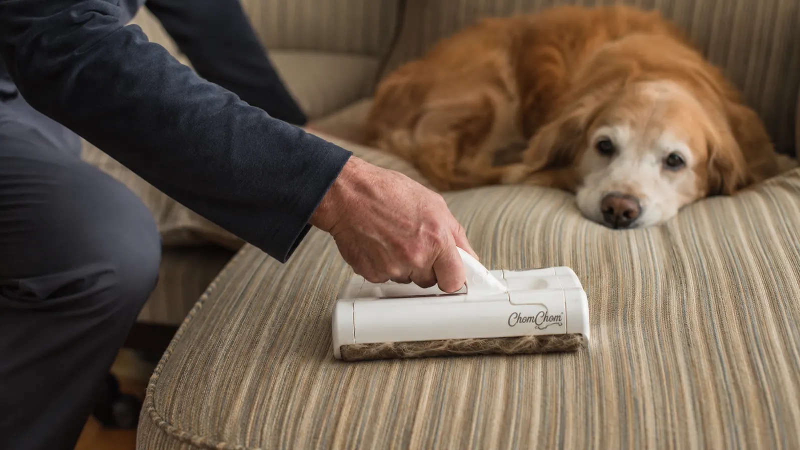 A hand pressing the reusable ChomChom roller down the middle of a striped fabric couch cushion in one slow stroke