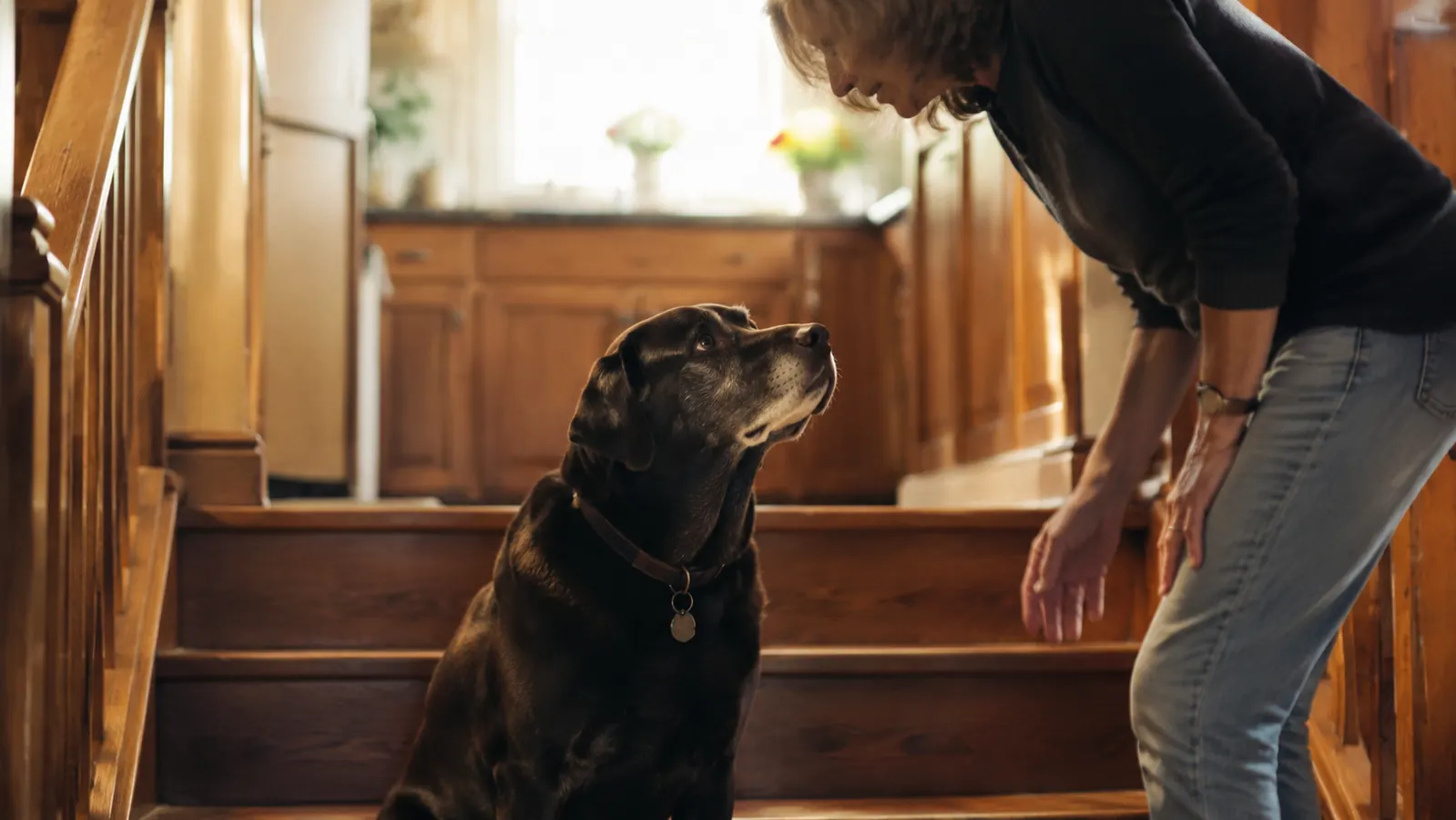 How Cosequin Stopped My Senior Dog From Limping Up the Stairs